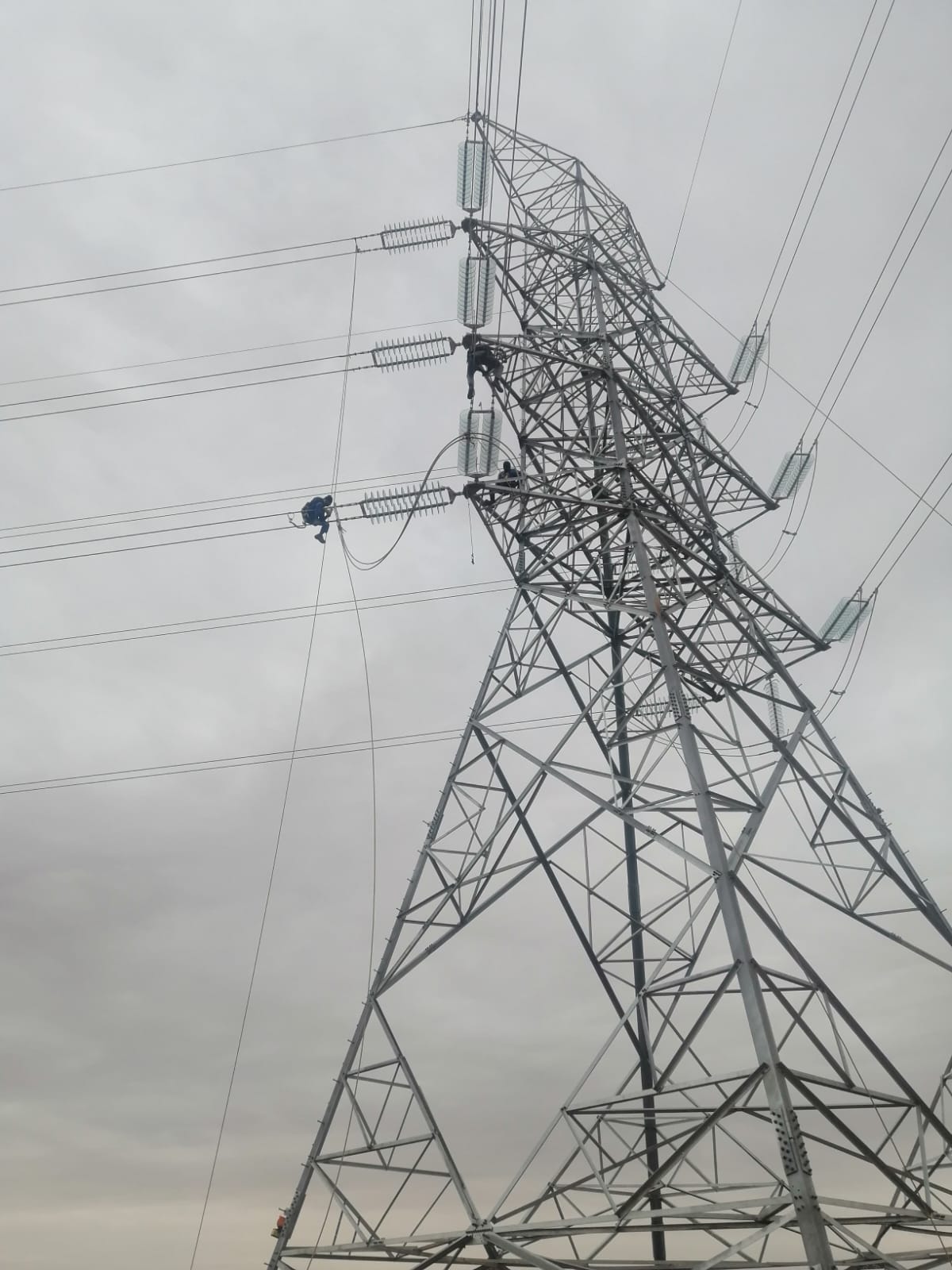 TOWER LINE TRANSMISSIONS